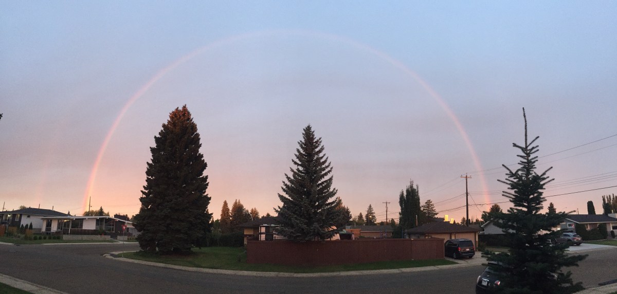 Who Do We Choose To Be, Part 3: Restoring&nbsp;Sanity